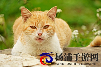 姬小满乳液狂飙|创新玩法引爆市场的新晋手游-2