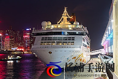 业余半老成熟自由性别业余的定义|探索多元性别背后的新趋势-2