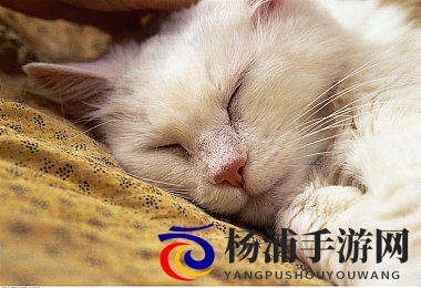 香蕉插进桃子里|创新水果搭配引领健康新潮流-1