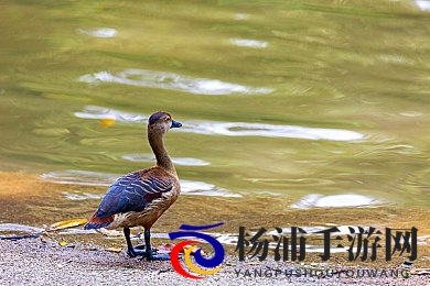 刘玥最好看的十部剧|刘玥精彩作品排行十部不可不看-2