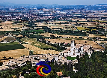 军人Gay吊大人帅精浓|专业士兵魅力十足勇气十足男优-2