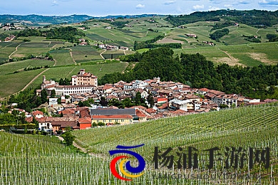 老师的兔子|教师宠物的可爱伙伴-2