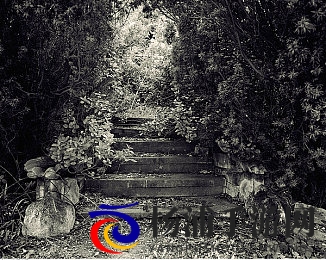 英语课代表上课没带|英语纪律员未携带教材引发关注-1