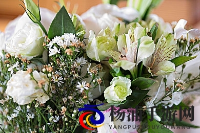 69ΧΧΧΧⅩ18|青春年华的美丽时光不可错过-2