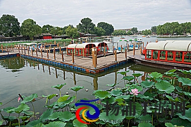 男人与雌宠物交h|男性与雌性伴侣的特殊互动-2