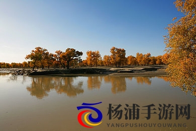 五月丁香花开婷婷|春风荡漾岁月流转-2