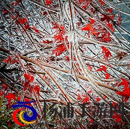 教练在车里要了好几次|教练多次在车内进行不当行为-2