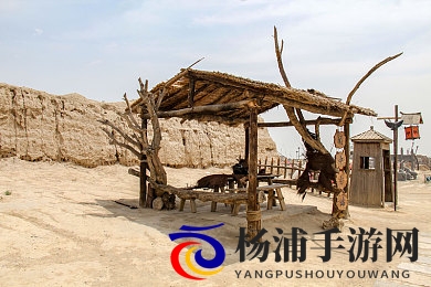 向上 奴役 受虐 受虐狂|追求高境界的逆境与情感释放