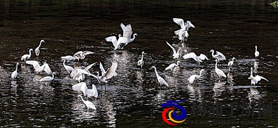 男生女生草草草|男女共掀狂热潮