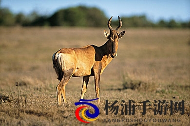 色多多app成人版 入口|成人专区体验平台正确访问方法-2