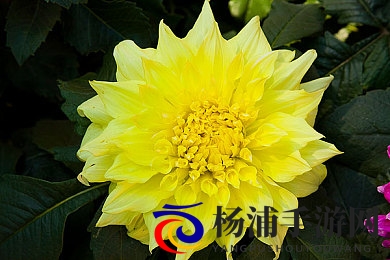 忘穿奶罩被同桌c了一节课|校园安全新警示青少年隐私保护亟须加强