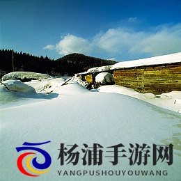 可以看美女脱衣服的软件|虚拟新时代的隐秘魅力科技引领行业变革-2