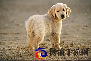 米塔被焯出白水|米粉经过高温后变成清淡汤色-2