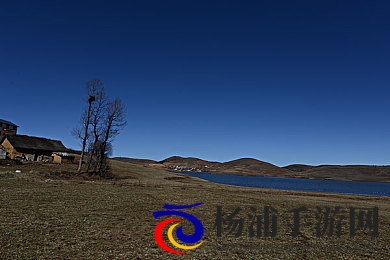 一卡二卡在线观看|在线视频技术革新推动行业新变革-3