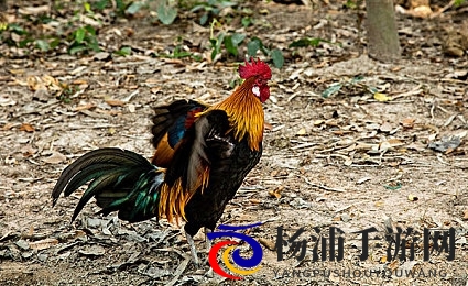 马红俊的y神传承银雪大结局|银雪归来马红俊传奇终章-1