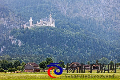 八重神子被丘丘人打败后繁衍后代|神子战败丘丘人后踏上繁衍之路-2