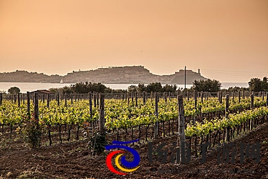 新婚少妇被按摩师进入|虚拟剧情引发伦理思考的热潮-2