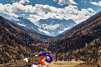 张柏芝吃陈冠希JJ|明星牵手共度欢愉时光-1