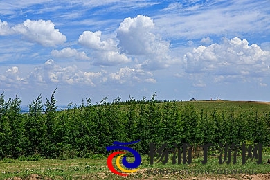 欧美寡妇XXXX黑人猛交游戏|成人游戏新潮流引爆市场潜力-2