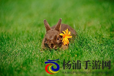 美女差差|迷人佳人展现魅力风采-3