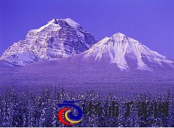 欧美人动性XXXXZ0OZ|全球多元文化融合推动社会价值观新变革-1