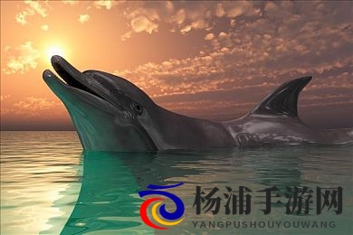 男同露大jiji 秘 黄网|男同性恋公开展示隐私网站汇总-3