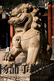 拍戏时胶带掉了进入护具开了|演出中胶带脱落导致防护装敞开-3