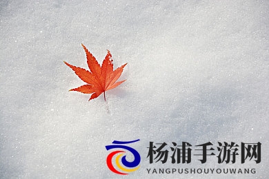 真实国产乱伦|网络空间暗黑角落引发社会关注-2