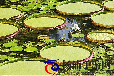 搡风流老太胖泬BBWWBBWw|多元社会中的文化包容与自由探索-2