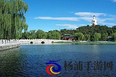 男生女生一起插插插的软件|引领互动娱乐新潮流的创新游戏