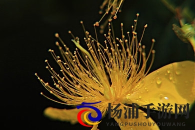 调教话语|未来交流方式新趋势引爆社交热潮-2