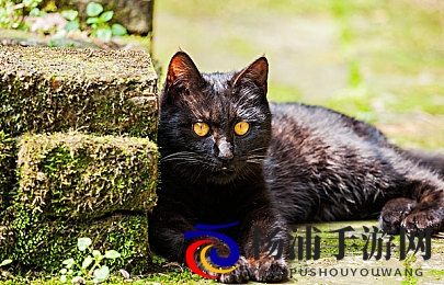 挽起裙子 开腿做运动|创新设计引领运动游戏新潮流-2