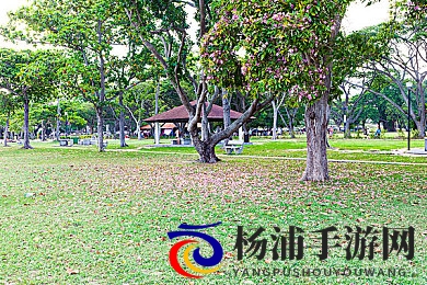 欧美激情一区二区三区p站|成人内容平台未来趋势分析