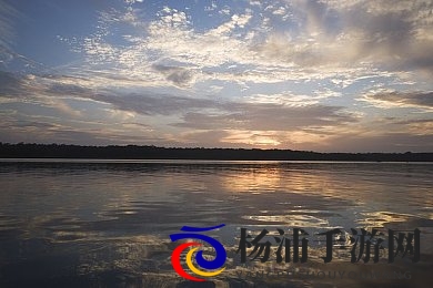 free性高满足HD性Bww|内容多元化推动网络新时代-1