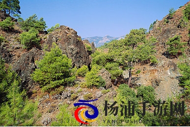 色XXX亚洲阿娇|娱乐圈明星多面人生引发社会思考