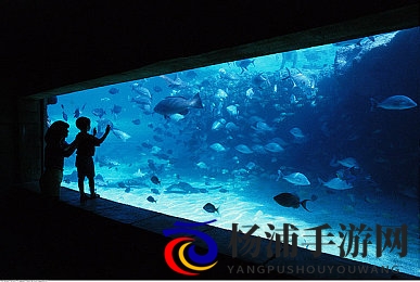 男女做网站|双方合作搭建专业平台-3