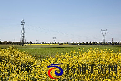 又痛又叫的软件|令人难忍的烦心程序体验-3