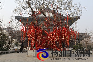 77v7vcc的图片|未来游戏视觉革新引领行业新潮-3