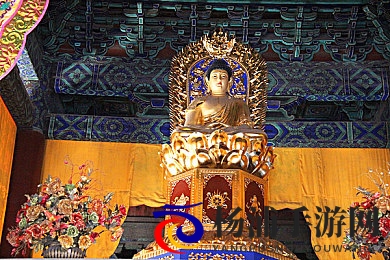 又痛又叫的软件|令人难忍的烦心程序体验-1