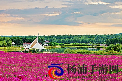 绑在调教椅上玩弄调教H|掌控调教椅中的刺激体验-2