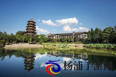 啪啪动态|游戏行业创新引领未来精彩不断