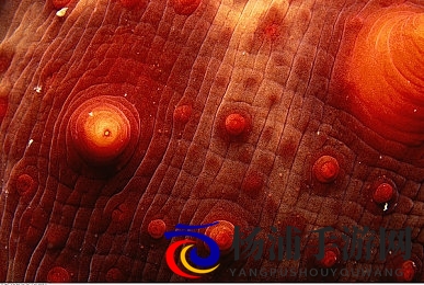 我半夜摸妺妺的奶c了她的|深夜偷偷触碰姐姐的乳房-2