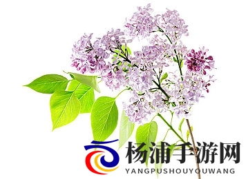 欧美寡妇性猛交XXX无码|欧洲熟妇激情刺激无修正-2