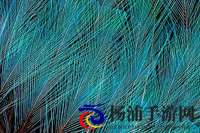 博雅和榜一大哥一直叫|博雅与榜一大哥长时间不断呼唤-2