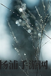 婷婷五月天丁香花|少女春光绽放繁花似锦-3