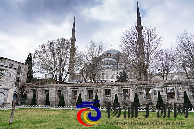 五月丁香六月伊人|传统文化与现代玩法完美融合的创新之作-1