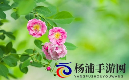 太深 拔出来 痛太舒头条|探索游戏难度的新平衡策略-1