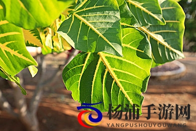 两个男生吃我胸|双男伴侣品尝我的上身-3