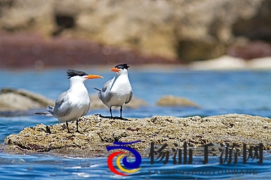 父女情深mv陈德明版剧情介绍|温馨感人家庭故事引发共鸣-2