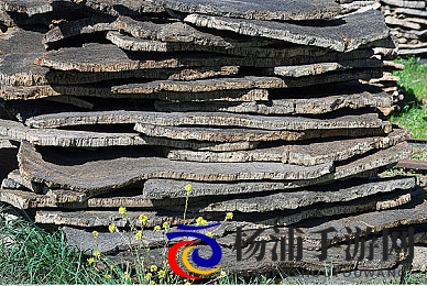 巨茎大战中国女|伟大男性与中华女性的激烈对抗-3